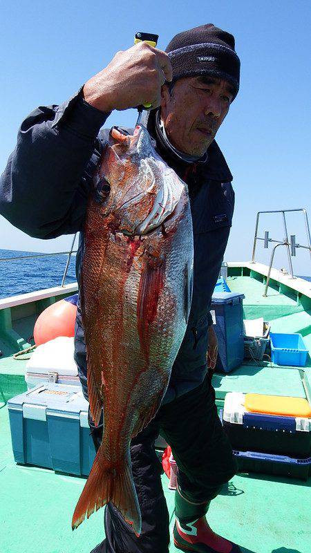 第三むつりょう丸 釣果