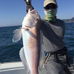 マタウマリンサービス 釣果