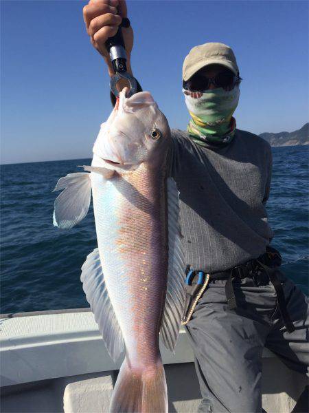 マタウマリンサービス 釣果