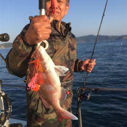 マタウマリンサービス 釣果