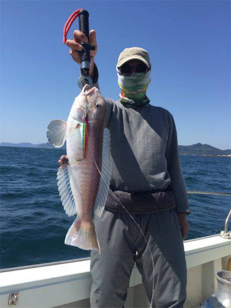 マタウマリンサービス 釣果