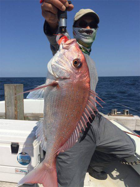 マタウマリンサービス 釣果