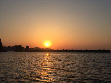 マタウマリンサービス 釣果