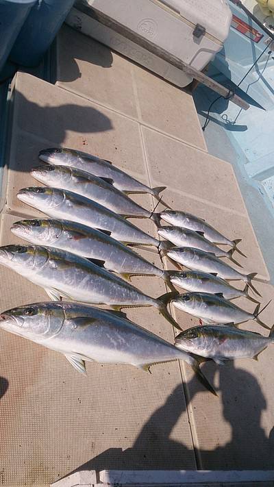 旭星釣りセンター 釣果