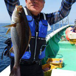 第三むつりょう丸 釣果
