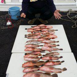 オーフリー 釣果