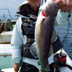 第三むつりょう丸 釣果