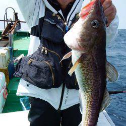 第三むつりょう丸 釣果