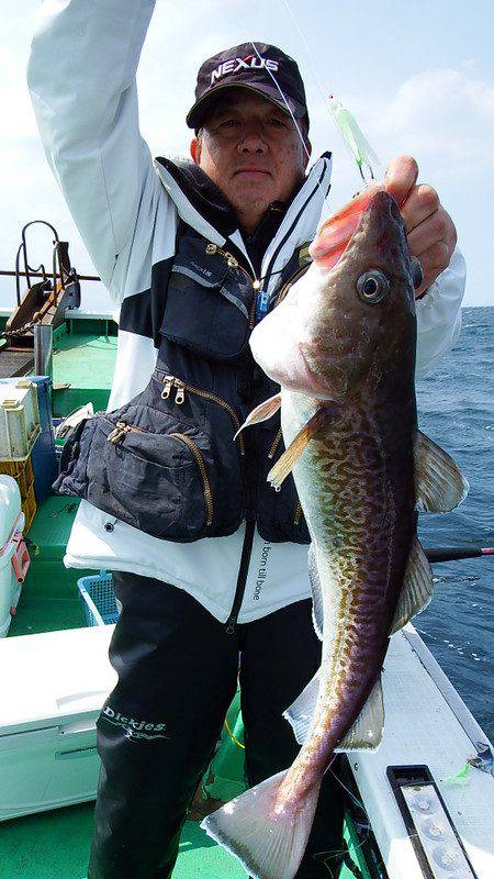 第三むつりょう丸 釣果