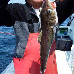 第三むつりょう丸 釣果