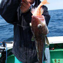 第三むつりょう丸 釣果