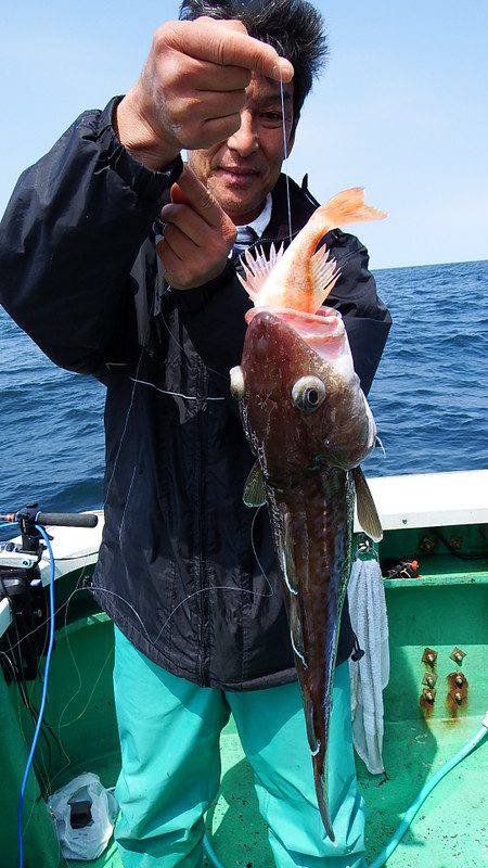 第三むつりょう丸 釣果