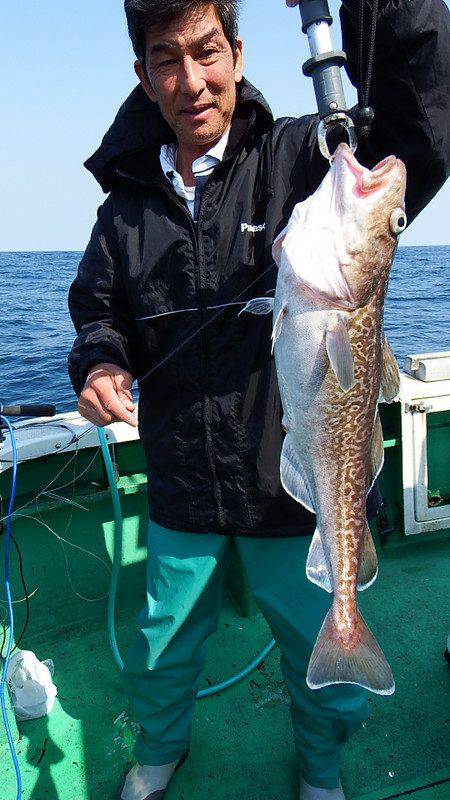 第三むつりょう丸 釣果