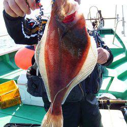 第三むつりょう丸 釣果