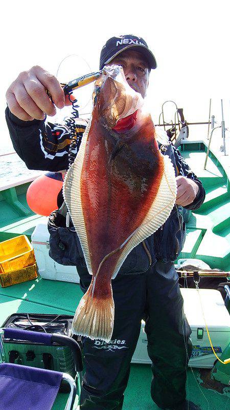 第三むつりょう丸 釣果