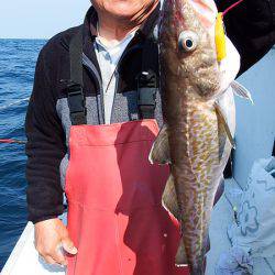 第三むつりょう丸 釣果