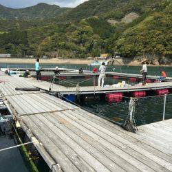 松名瀬フィッシングパーク 釣果