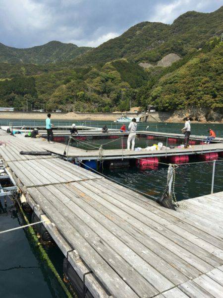 松名瀬フィッシングパーク 釣果