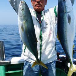 第三むつりょう丸 釣果