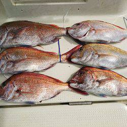 松本釣船2 釣果