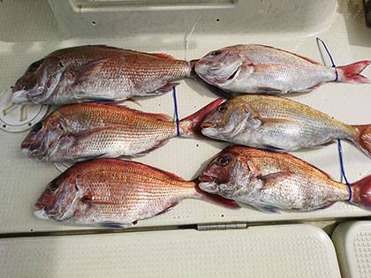 松本釣船2 釣果