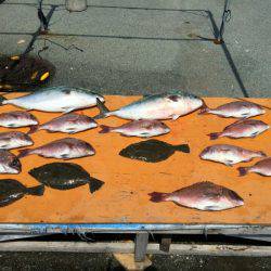 フィッシングパーク錦 釣果