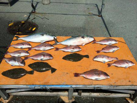 フィッシングパーク錦 釣果