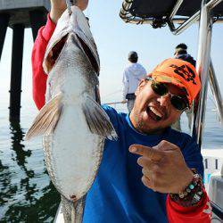 フルコンタクト 釣果