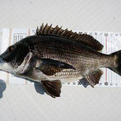 フルコンタクト 釣果