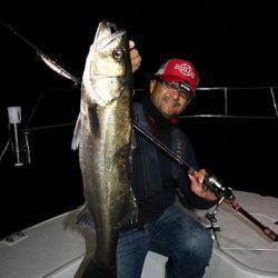 フルコンタクト 釣果