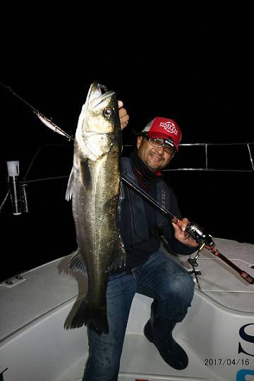 フルコンタクト 釣果