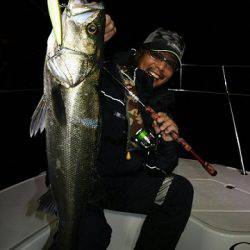 フルコンタクト 釣果