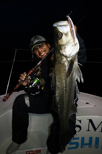 フルコンタクト 釣果