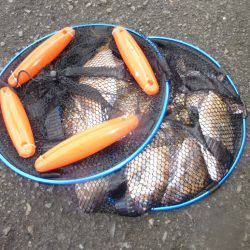 海釣り公園みかた 釣果