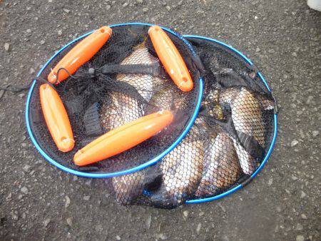 海釣り公園みかた 釣果