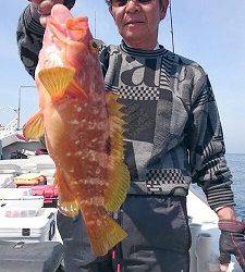 海龍丸(福岡) 釣果