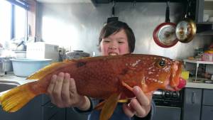 FJガイドサービス 釣果