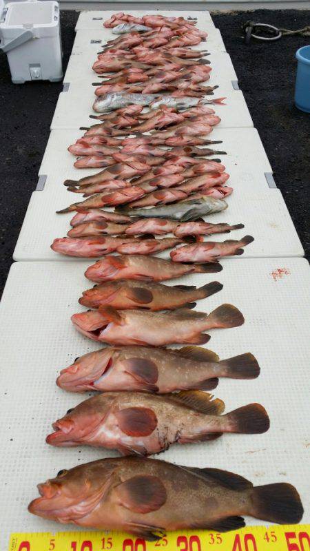 オーフリー 釣果