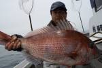 茂吉丸 釣果