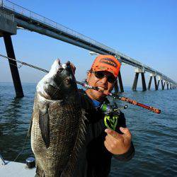 フルコンタクト 釣果