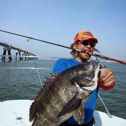 フルコンタクト 釣果