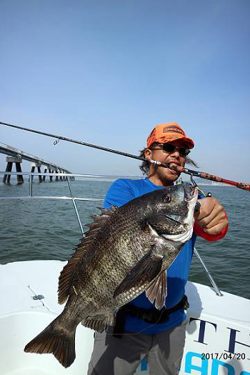 フルコンタクト 釣果