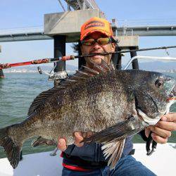 フルコンタクト 釣果