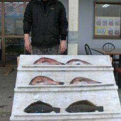 松名瀬フィッシングパーク 釣果