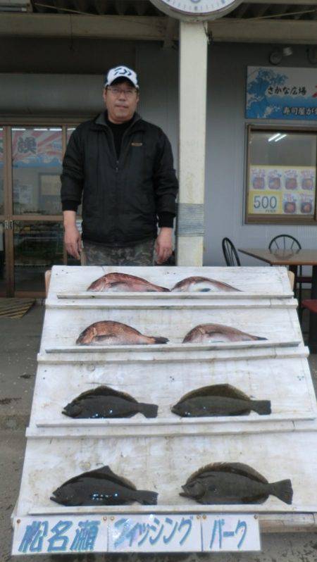 松名瀬フィッシングパーク 釣果