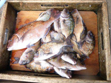 海釣り公園みかた 釣果