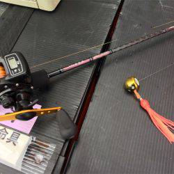 マタウマリンサービス 釣果