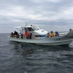 マタウマリンサービス 釣果