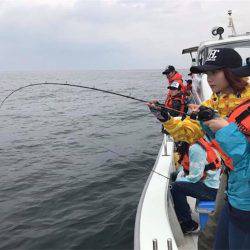 マタウマリンサービス 釣果