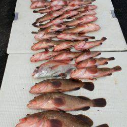 オーフリー 釣果